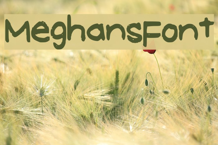 MeghansFont Font examples