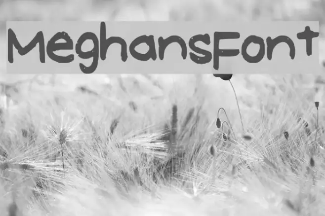 MeghansFont Example 1