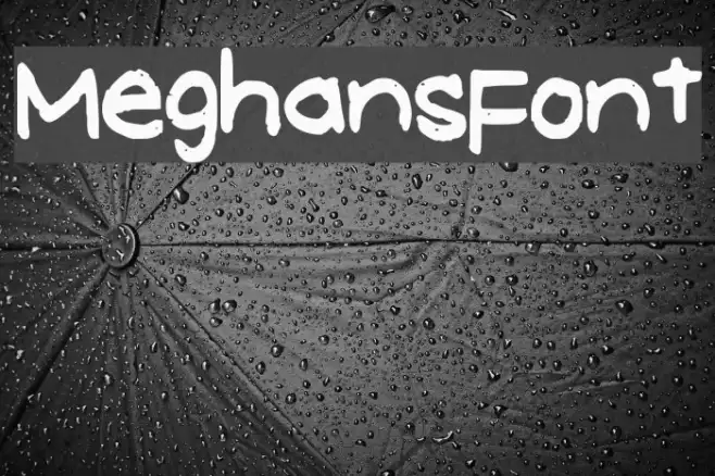 MeghansFont Example 2