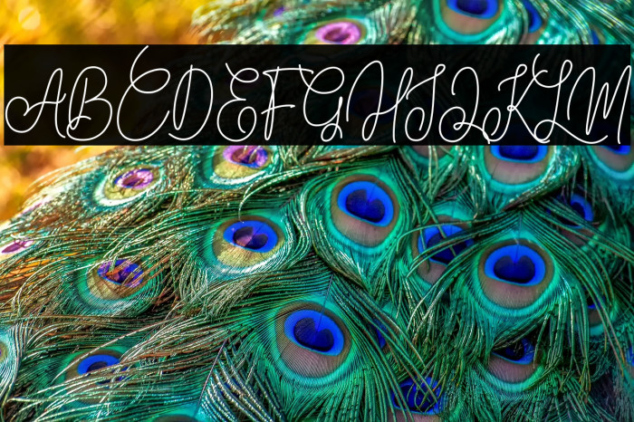 Meghatone Signature Example 1