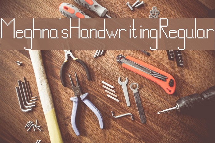 Meghna's Handwriting Regular Example 2