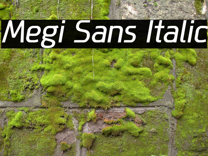 Megi Sans Italic Font examples