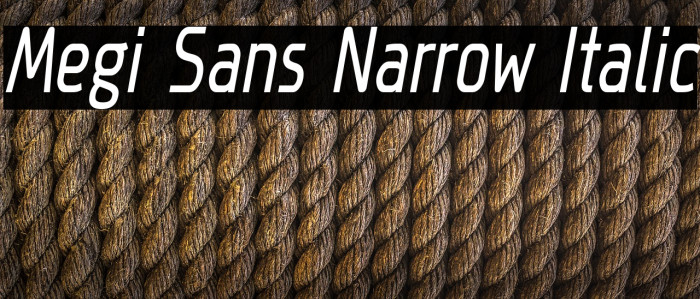 Megi Sans Narrow Italic Font examples
