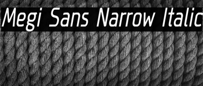 Megi Sans Narrow Italic Example 1