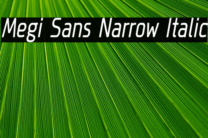 Megi Sans Narrow Italic Font examples