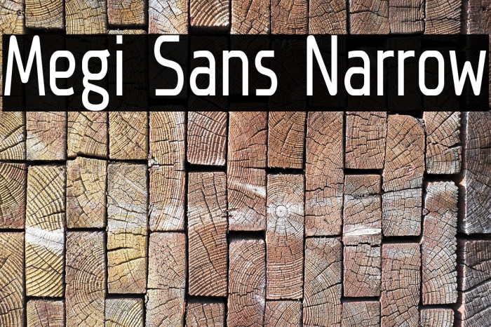 Megi Sans Narrow Font examples