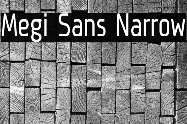 Megi Sans Narrow Example 2