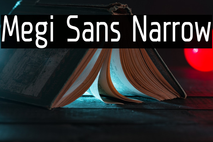 Megi Sans Narrow Font examples