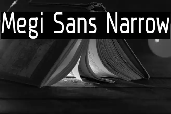 Megi Sans Narrow Example 3
