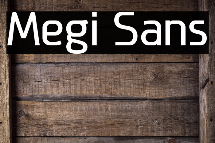 Megi Sans Font examples