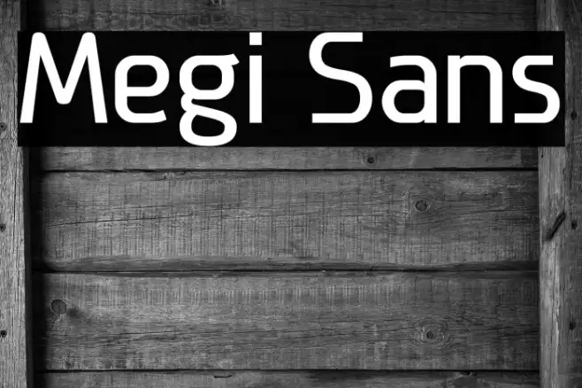 Megi Sans Example 1