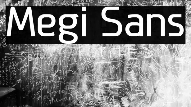 Megi Sans Example 2