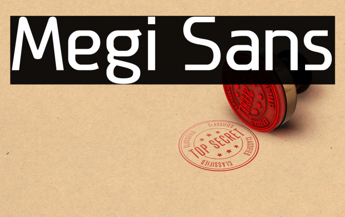 Megi Sans Font examples