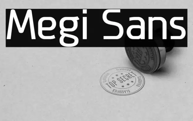 Megi Sans Example 3