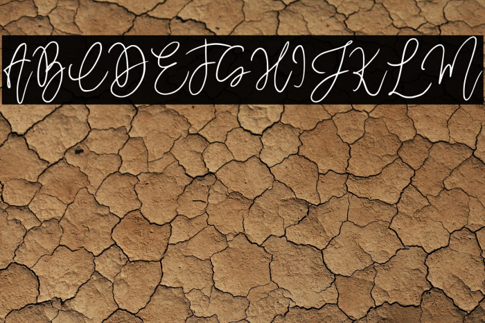 MegidameSignature Example 2