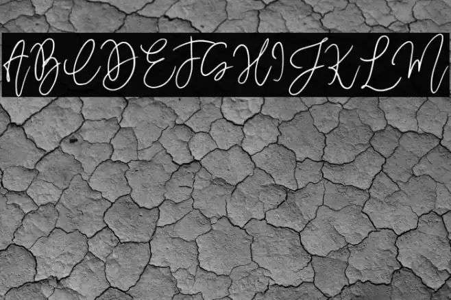 MegidameSignature Example 2