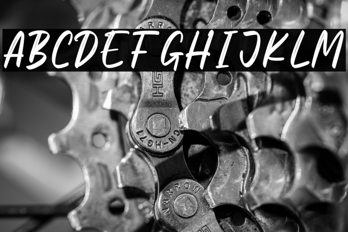 Megiday Personal Use Example 1