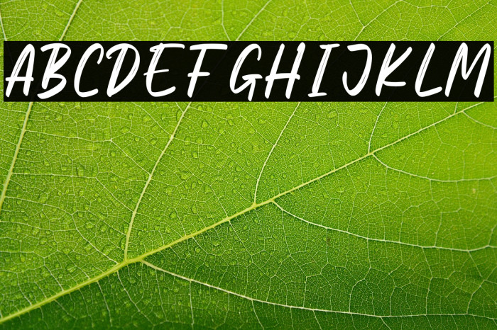 Megiday Personal Use Example 2