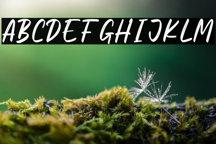 Megiday Personal Use Example 3