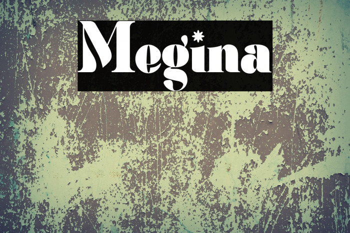 Megina Example 1