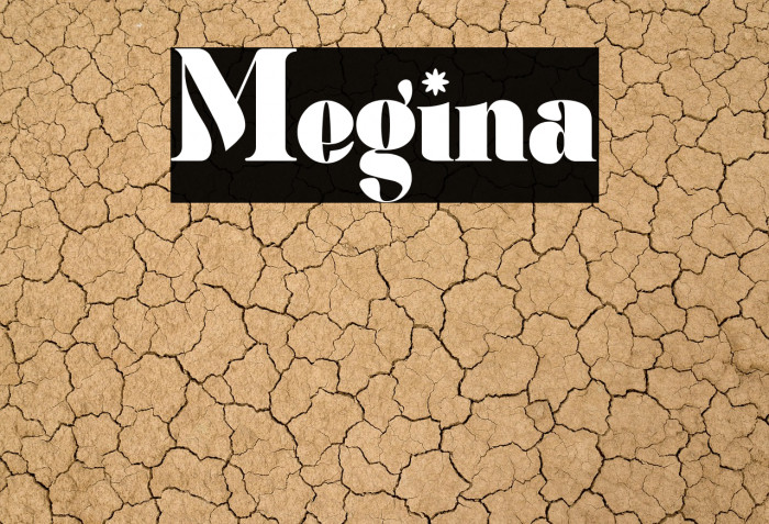 Megina Example 2