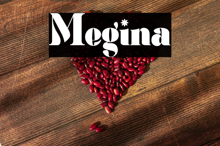 Megina Example 3