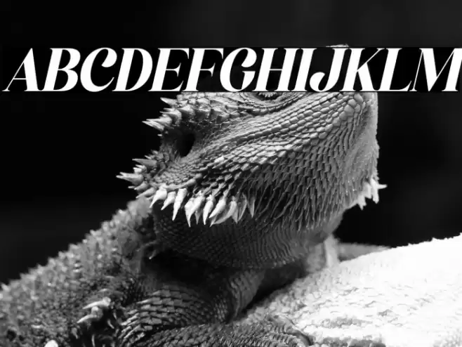 Megistica Italic Font examples