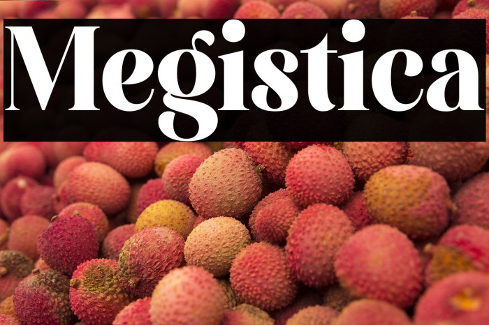 Megistica Example 1
