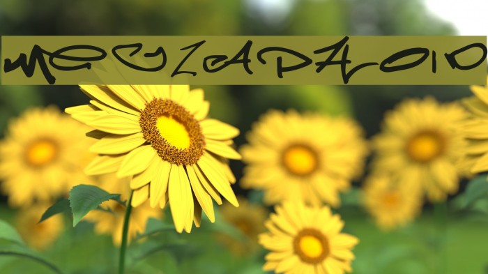Meglaphoid Font examples