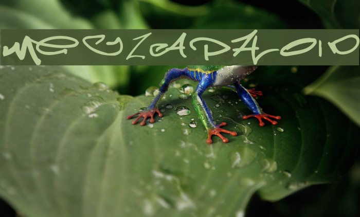 Meglaphoid Font examples