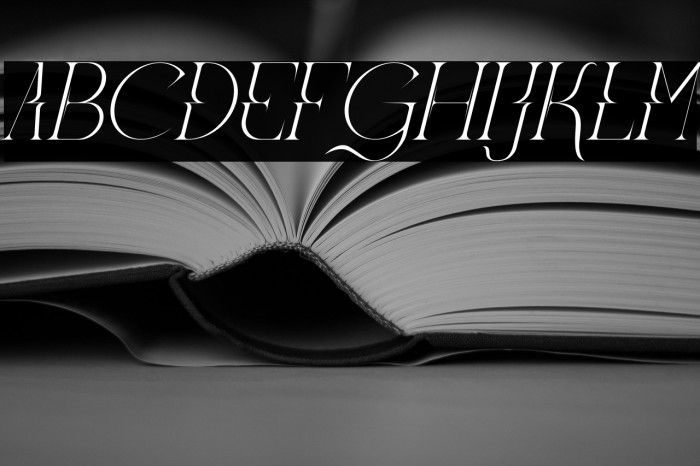 Meglona Italic Example 3