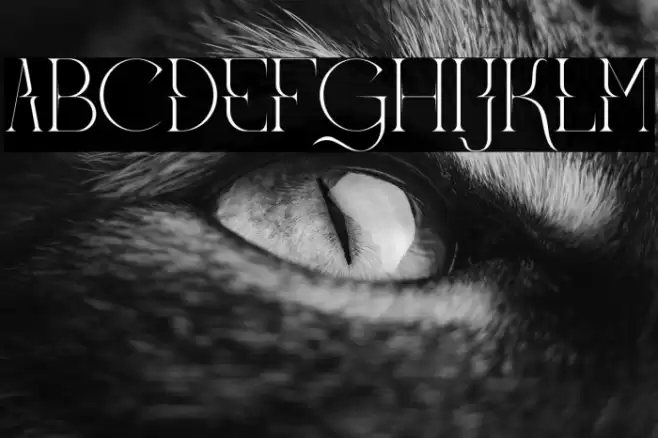 Meglona Font examples