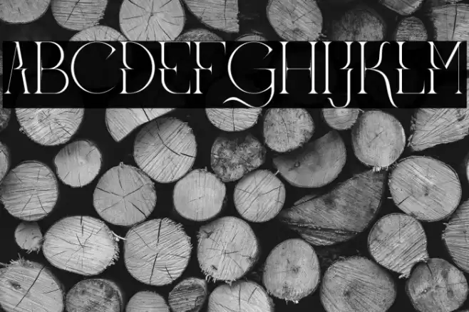 Meglona Font examples