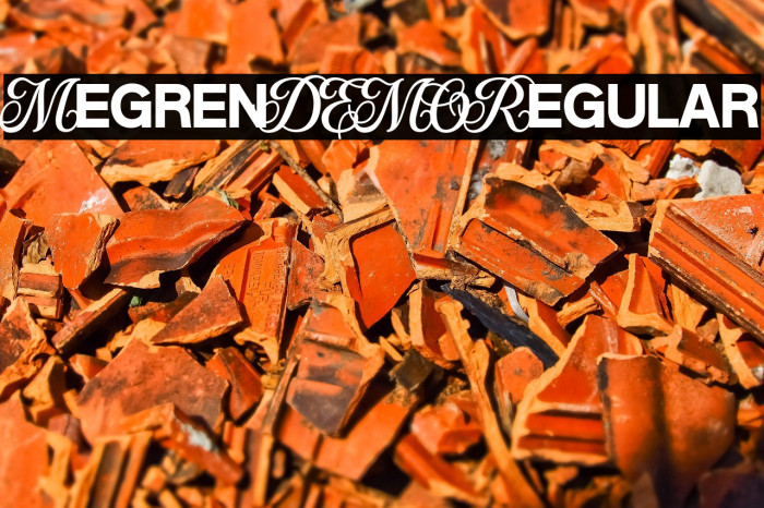 MegrenDEMO-Regular Example 2