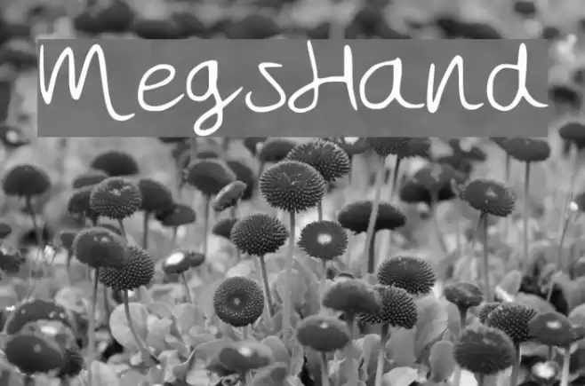 MegsHand Font examples