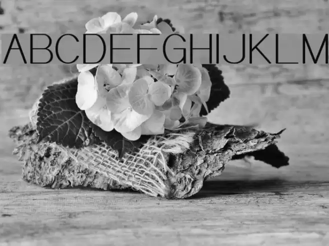 Meichic Font examples