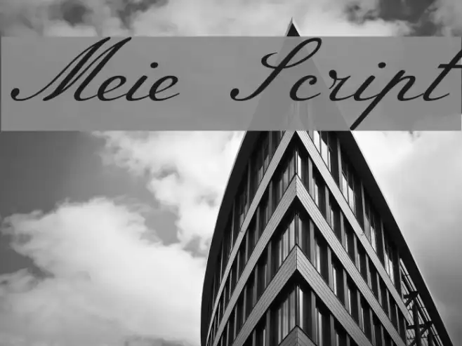 Meie Script Example 1