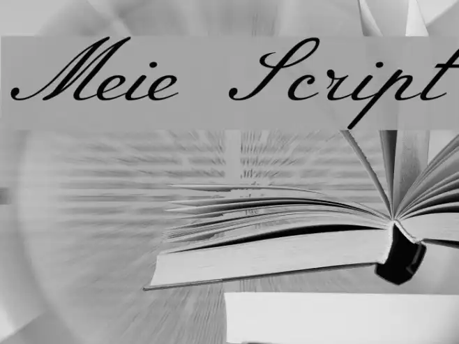 Meie Script Example 2