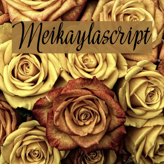 Meikaylascript Font examples