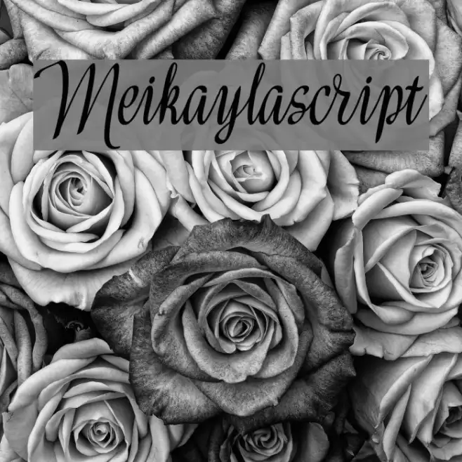 Meikaylascript Example 1