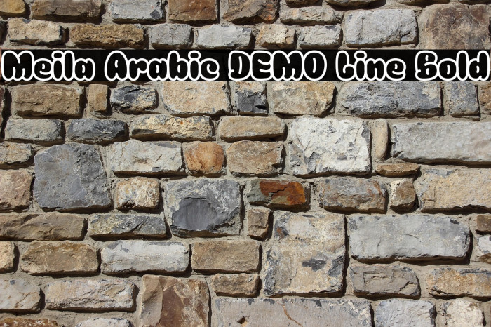 Meila Arabic DEMO Line Bold Example 2