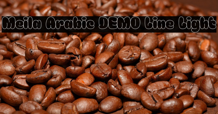 Meila Arabic DEMO Line Light Example 1