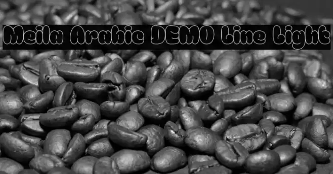 Meila Arabic DEMO Line Light Caratteri examples