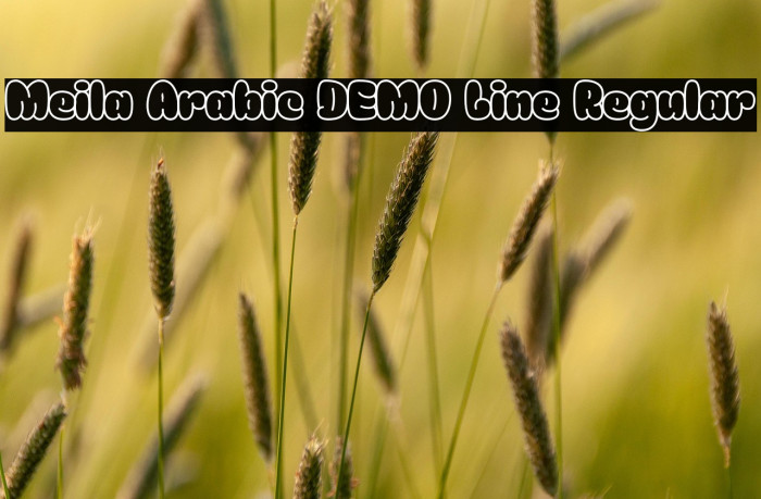 Meila Arabic DEMO Line Regular Example 3