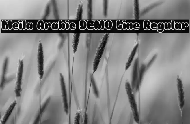 Meila Arabic DEMO Line Regular خط examples