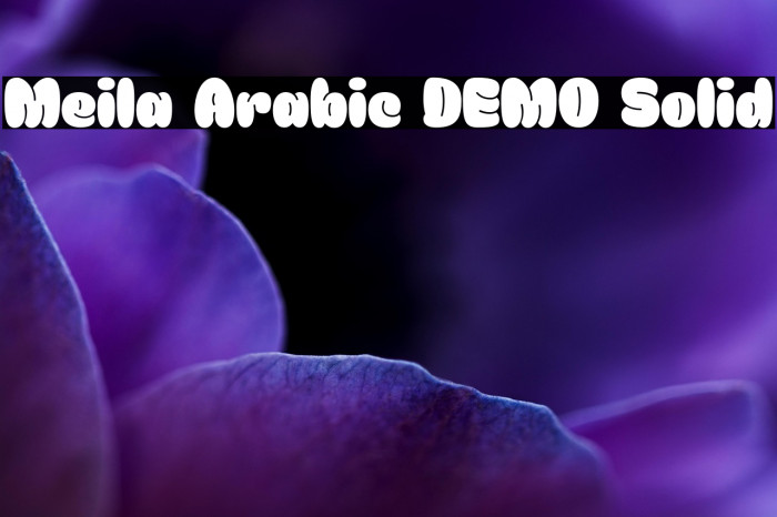 Meila Arabic DEMO Solid Example 1
