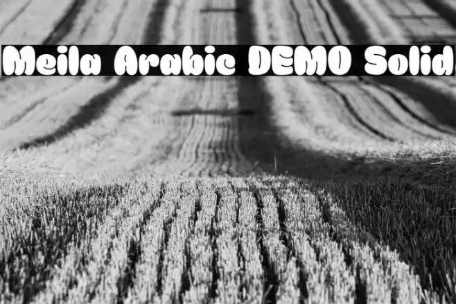 Meila Arabic DEMO Solid خط examples