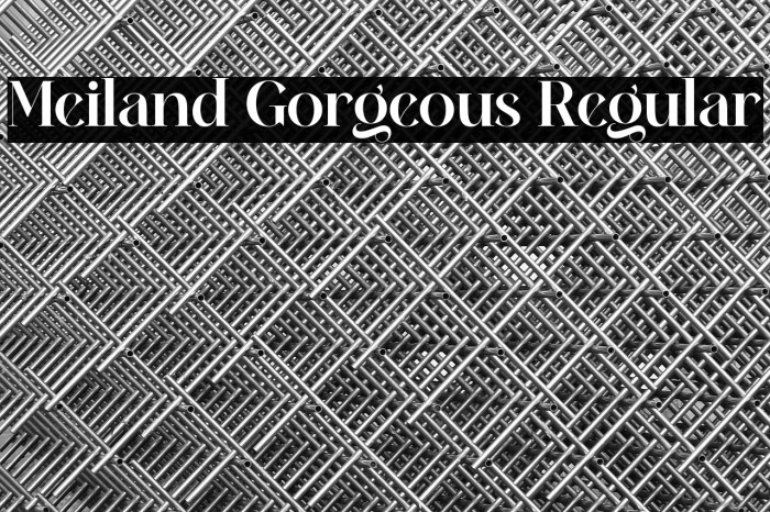Meiland Gorgeous Regular Example 1
