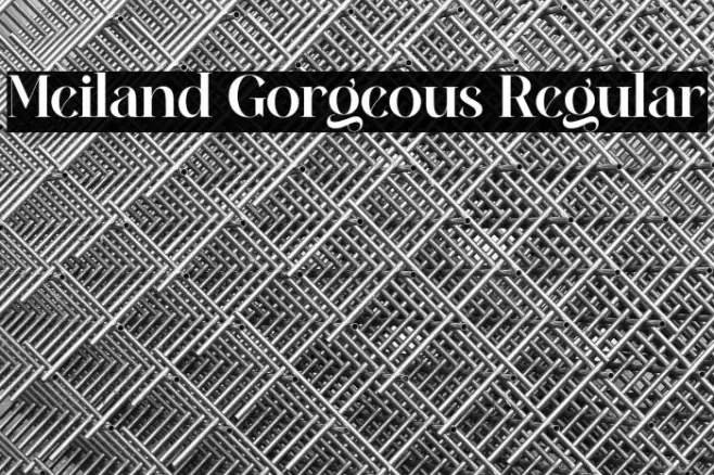 Meiland Gorgeous Regular Example 1