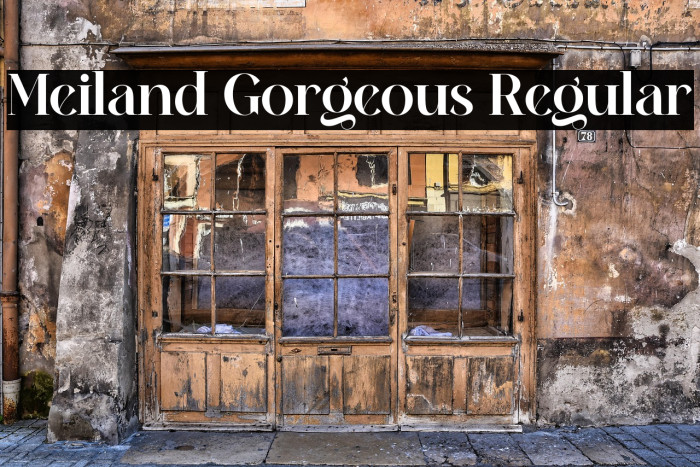 Meiland Gorgeous Regular Example 2